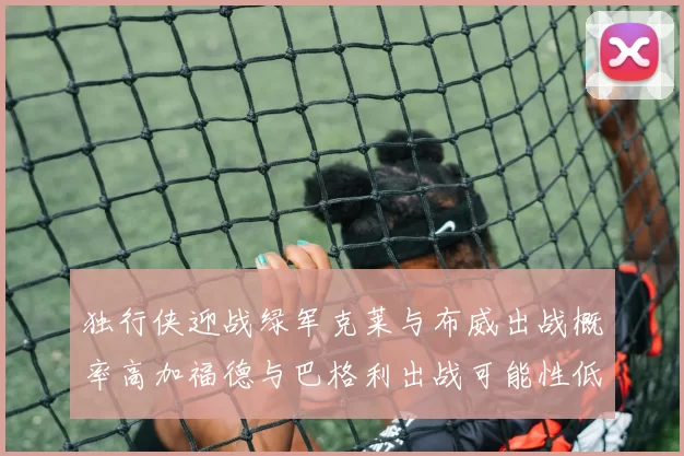 独行侠迎战绿军克莱与布威出战概率高加福德与巴格利出战可能性低