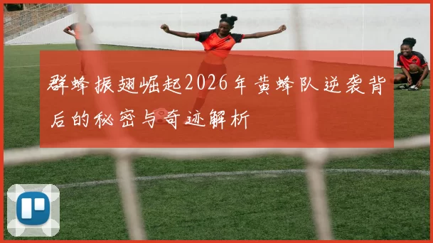 群蜂振翅崛起2026年黄蜂队逆袭背后的秘密与奇迹解析